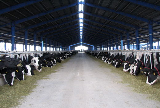 بهره مند شدن ۱۴۷ بهره بردار شهرستان البرز از تسهیلات سرمایه در گردش