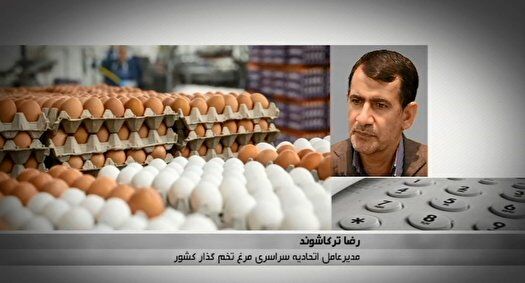 بازار تخم مرغ به تعادل می‌رسد