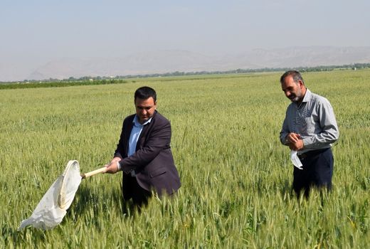 سطح مبارزه با آفات و بیماری‌ها در شهرستان شیروان