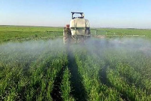 مبارزه با علف‌های هرز در 2هزار هکتار از اراضی گندم ، جو وکلزا شهرستان مرند