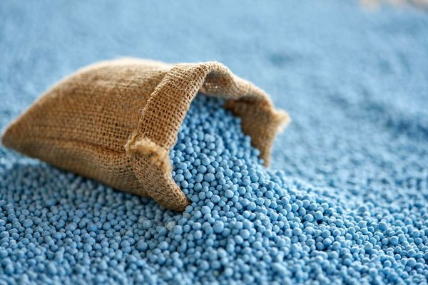  تامین بیش از هشت هزار تن کودشیمیایی برای بخش کشاورزی استان بوشهر 