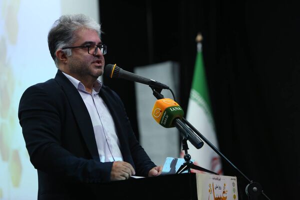 ضرورت ایجاد بازار متمرکز عسل در پایتخت/تأمین مالی جمعی، راهکاری حمایت از زنبورداران