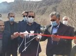 افتتاح مرغداری ۷۰ هزار قطعه ای در شهرستان دورود