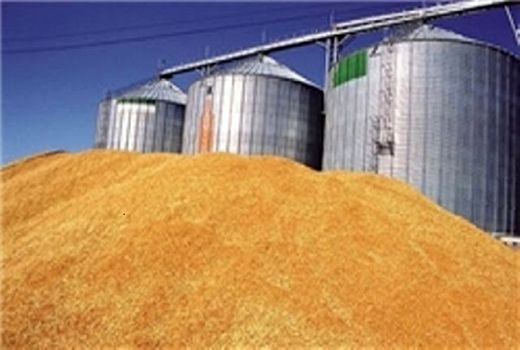 ۹۱ سیلوی نگهداری گندم در کردستان فعال است