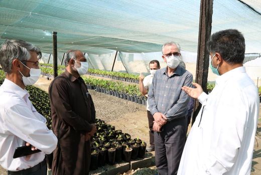 بازدید از پروژه کشت و صنعت مکران در استان سیستان و بلوچستان