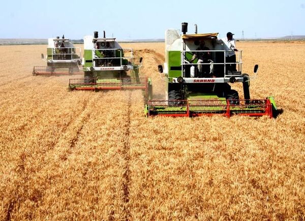 درخواست بنیاد ملی گندمکاران برای جلوگیری از افزایش بی‌رویه قیمت ادوات کشاورزی