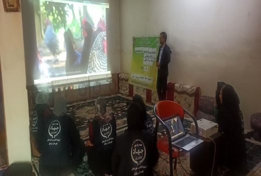 توانمندسازی اعضای صندوق خرد زنان روستایی دزفول