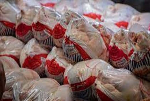 خریدِ مرغ منجمد تا پایان عرضه مرغ زنده در اصفهان