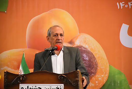 اختصاص رتبه نخست تولید زردآلو در کشور به استان آذربایجان شرقی