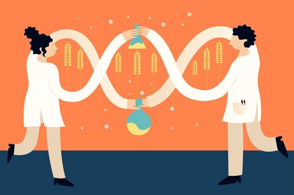 آیا محصولات تراریخته برای سلامتی ضرر دارند؟