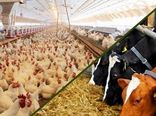 جذب 1500 میلیارد ریال تسهیلات در بخش تولیدات دامی