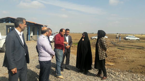۵۰ هکتار گلخانه در استان قزوین در دست احداث است