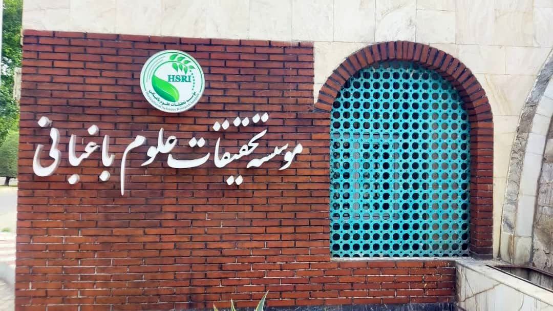 باغبانی در مسیر هم‌افزایی