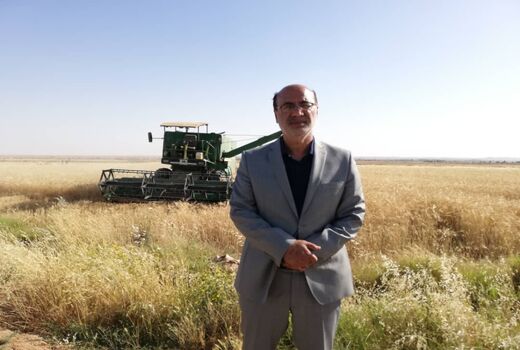 پیش بینی خرید بیش از ۱۷۰ هزار تن گندم از کشاورزان استان