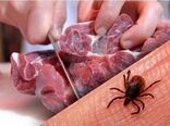 راهکارهای حفاظتی برای مقابله با شیوع تب کریمه کنگو