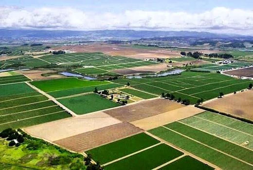 جلوگیری از تعرض به اراضی ملی با هویت‌دار کردن اراضی کشاورزی