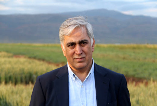 مبارزه با بیماری‌های برگی در  ۴۷ هزار هکتار از مزارع گندم استان ایلام