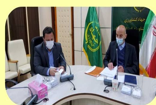  تأکید بر تولید محصولات صادرات محور