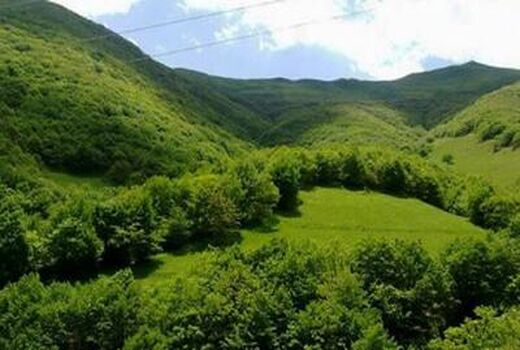  آماده باش کامل نیروهای گشت و مراقبت حفاظتی و جنگلبانان در تعطیلات نوروزی سراسر کشور