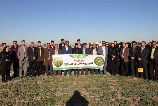 کشاورزی حفاظتی عامل پایداری خاک