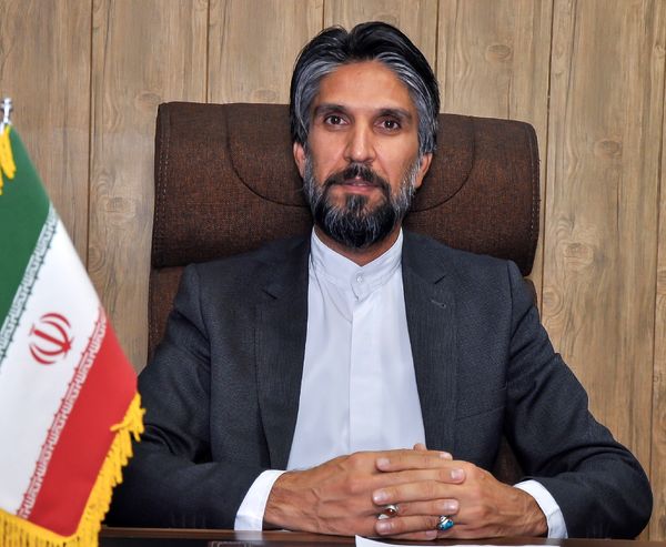 اجرا شدن طرح خرید مزرعه در خراسان جنوبی برای زرشک