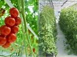 2 طرح کشاورزی شهرستان بردسیر در ایام الله دهه فجر به بهره برداری می رسد
