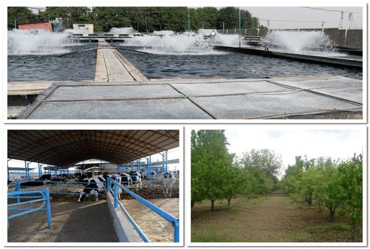 سه واحد مجتمع کشاورزی با ظرفیت گردشگری در استان قزوین شناسایی شد