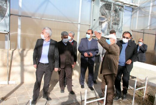 تاکید بر حمایت از سرمایه‌گذاران در بخش کشاورزی