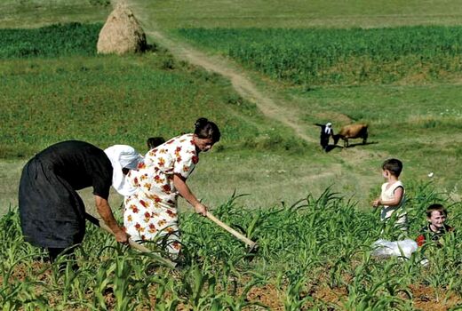آینده کشاورزی آلبانی در دست زنان