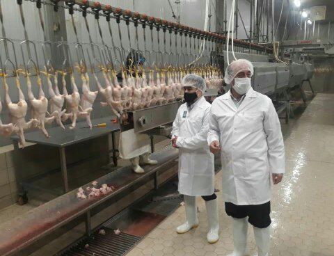 متوسط کشتار مرغ در کشتارگاه‌های استان روزانه بیش از 130 تن است