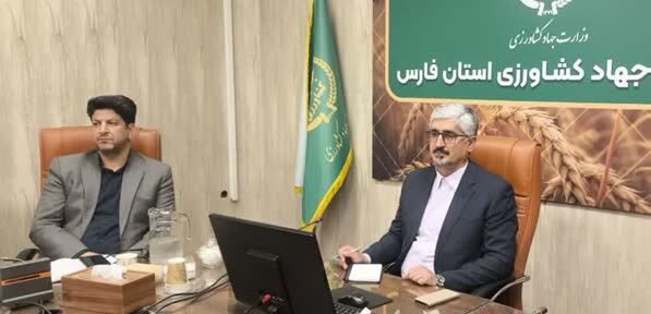 تحقق ۱۲۴ درصدی برنامه جوجه‌ریزی در فارس برای تأمین مرغ
