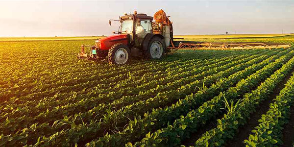 تقدیر از منتخبین جشنواره ملی رسانه های بخش کشاورزی