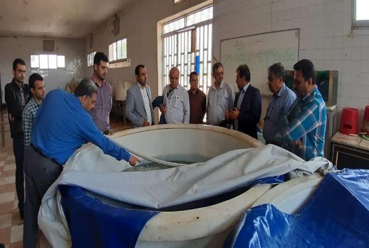 بازدید سرپرست اداره کل شیلات خوزستان از مراکز تولید و تکثیر شهید ملکی در اهواز