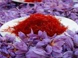 زمینه صادرات زعفران و انگور خراسان شمالی به بنگلادش فراهم شد