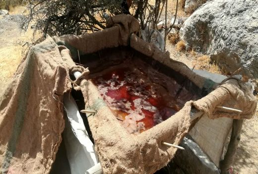 فرآوری انگور در استهبان پایان یافت