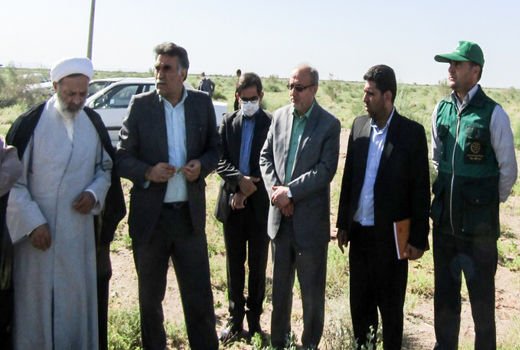 همت جهادی برای دفع ملخ های مهاجم به ارضی کشاورزی خراسان جنوبی