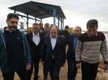 بازدید وزیر جهاد کشاورزی از پروژه آبیاری تحت فشار شبانکاره در دشتستان