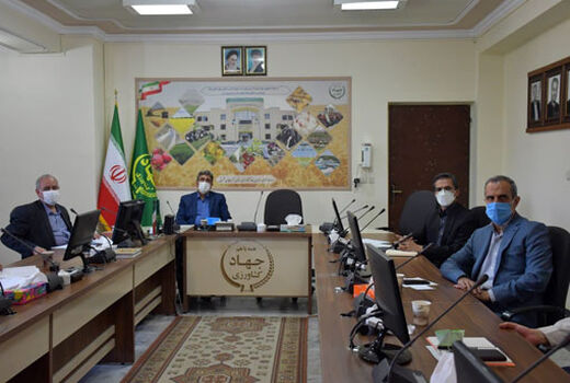 میزان مصرف آبزیان با اطلاع رسانی در مورد فواید آن افزایش پیدا کرده است