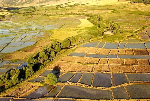 سنددارشدن اراضی از خردشدن زمین‌های کشاورزی جلوگیری می‌کند