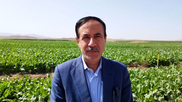 50 درصد پروژه های اجرایی وزارت جهاد کشاورزی در حوزه زیر بنایی است