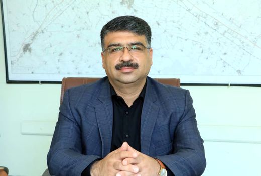 طی دو سال گذشته  ۵۰ هکتار باغ گردو در استان قزوین اصلاح  شد
