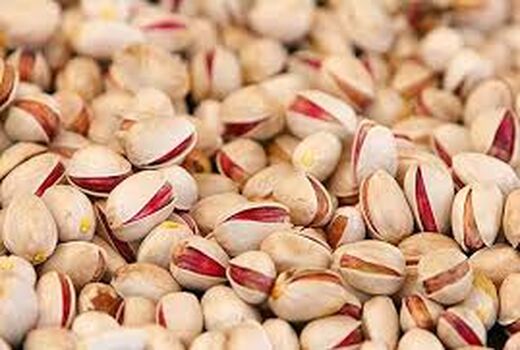 دستگیری سارقان محصولات کشاورزی 