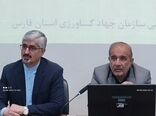 برنامه ریزی گسترده برای کنترل قیمت کالاها