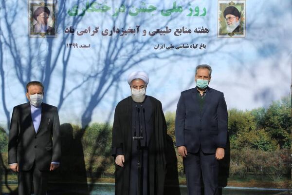 جنگل‌کاری در دولت تدبیر و امید به 950 هزار هکتار رسید