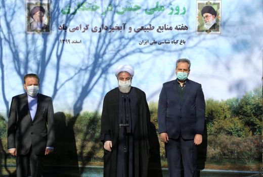 جنگل‌کاری در دولت تدبیر و امید به 950 هزار هکتار رسید