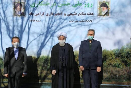 جنگل‌کاری در دولت تدبیر و امید به 950 هزار هکتار رسید
