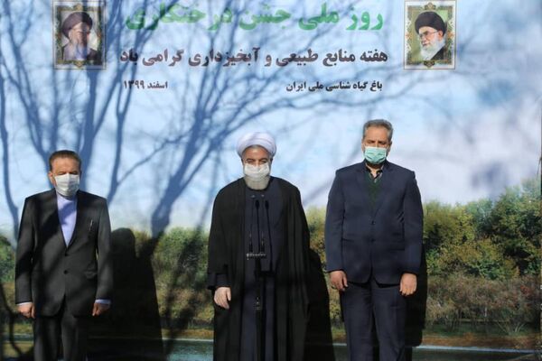 جنگل‌کاری در دولت تدبیر و امید به 950 هزار هکتار رسید