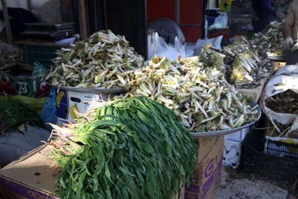 کشف 235 تن محصول فرعی غیرمجاز در سال گذشته