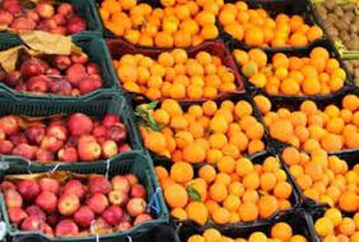 ۴۰۰ تن میوه برای شب عید خراسان شمالی تامین شد