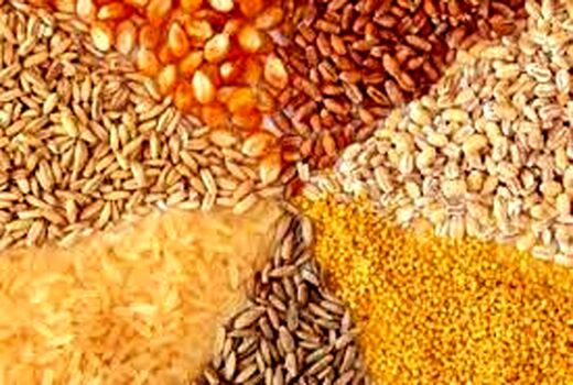 مشکلی برای تامین نهاده های دامی در استان وجود ندارد